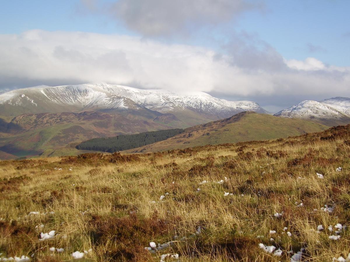 The Dolgoch Bed & Breakfast Bryn-crug ภายนอก รูปภาพ